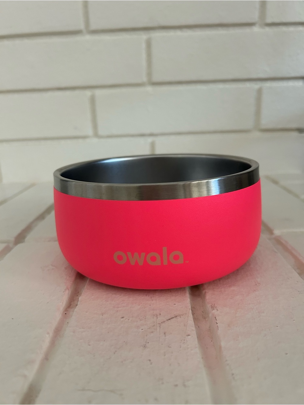 OWALA Stainless Steel Pet Food and Water Bowl Hyper Flamingo pink 24 oz.